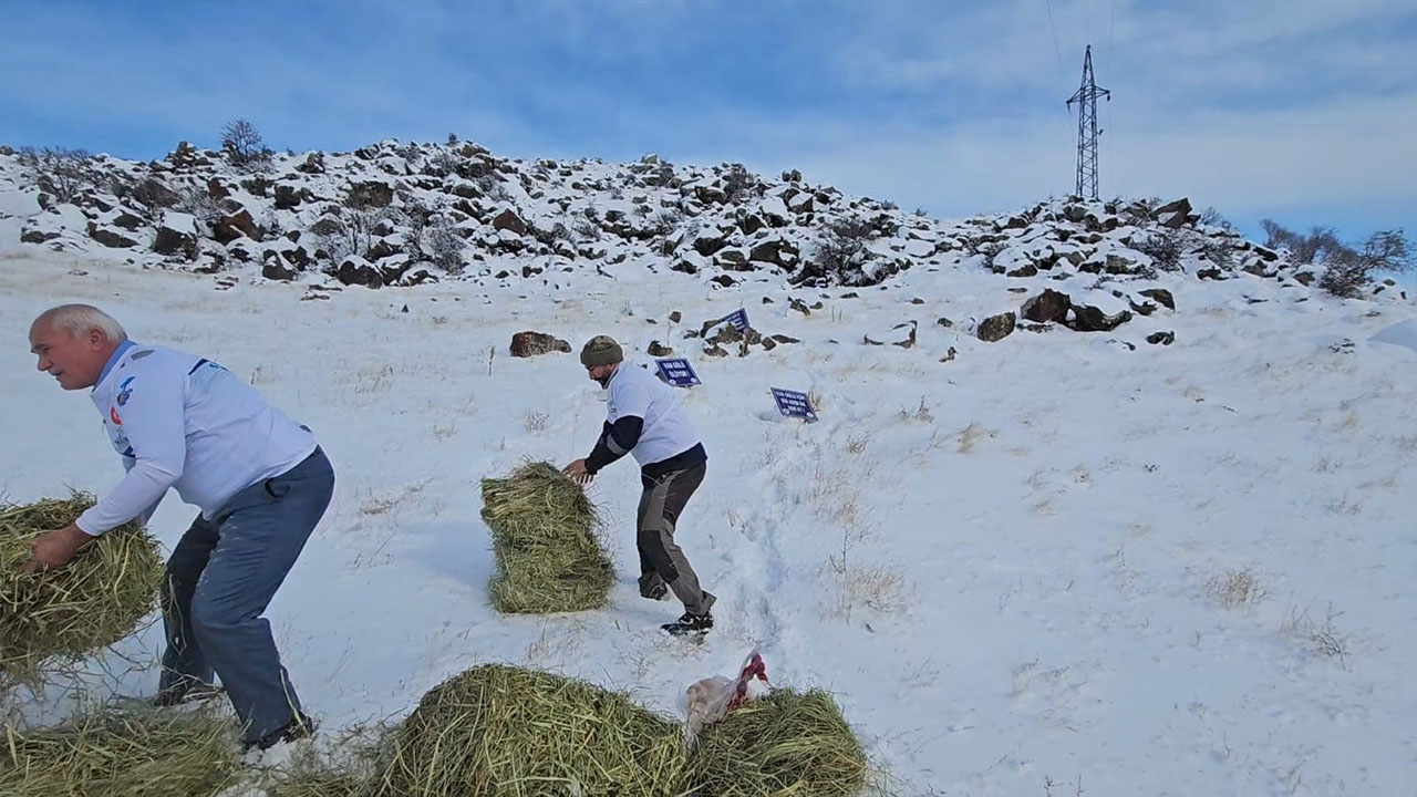 Bitlis’te yaban hayvanları için doğaya yem bırakıldı