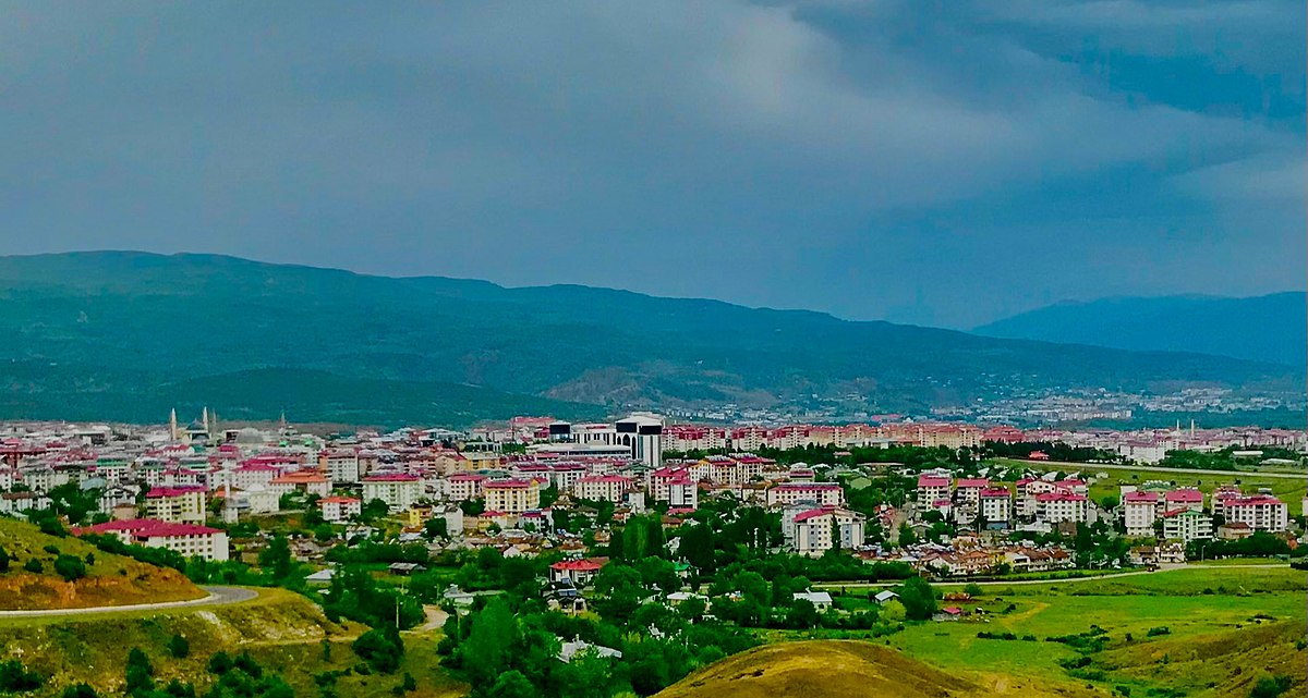 Bingöl’de tabanca ele geçirildi