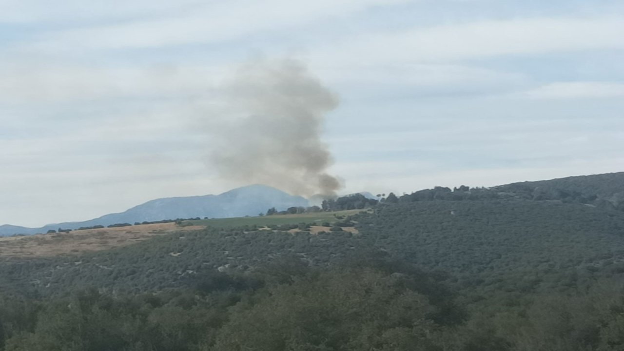 Kahramanmaraş'ta ormanlık alanda çıkan yangın söndürüldü