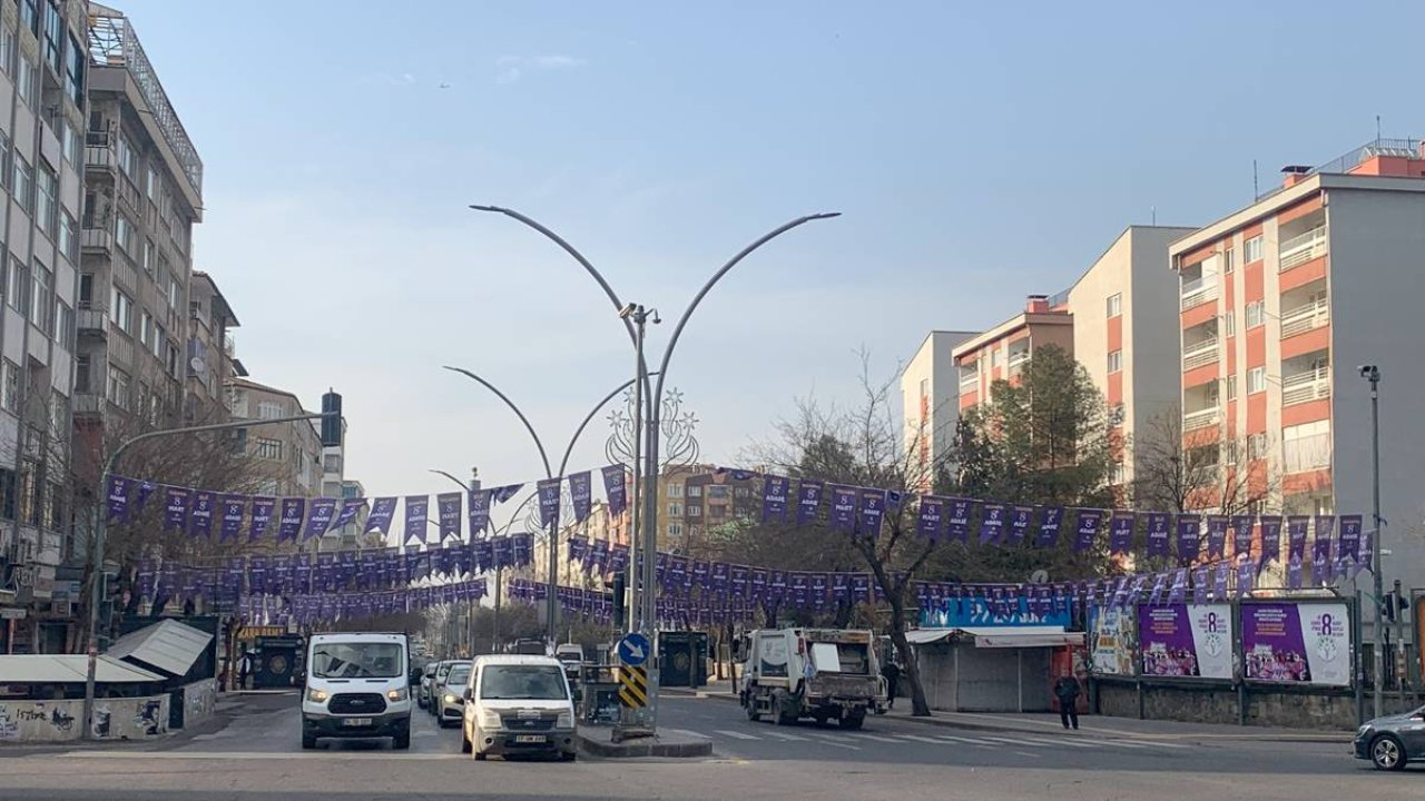 Diyarbakır 8 Mart için mora büründü