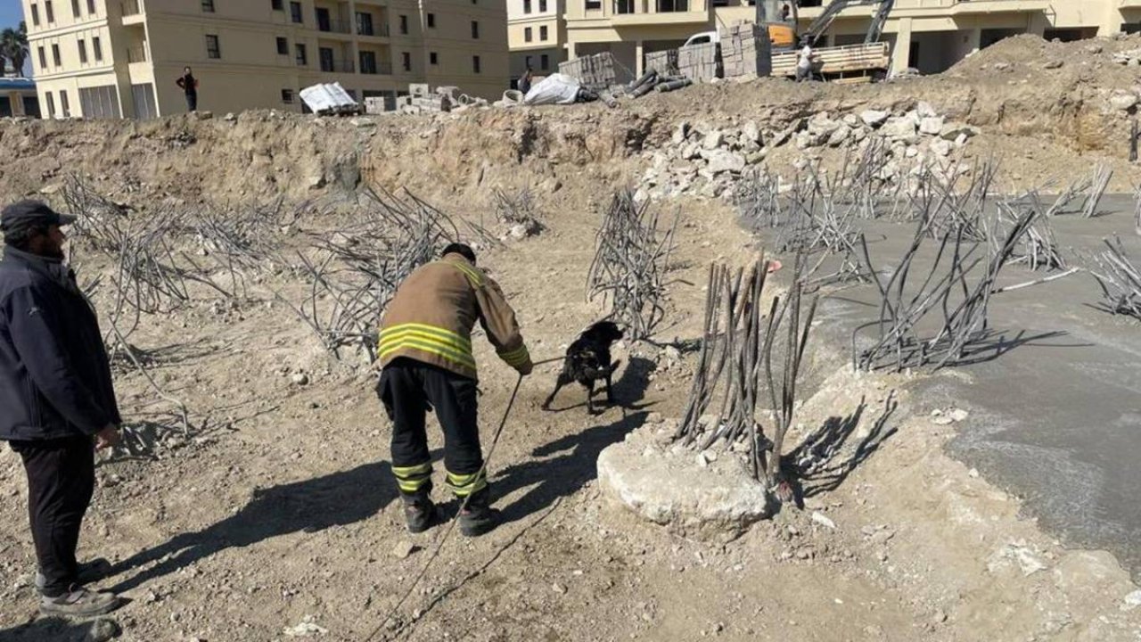 İnşaat çukuruna düşen köpek kurtarıldı