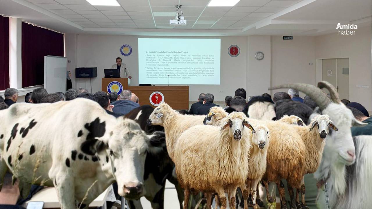 Diyarbakır'da ‘Koyun Keçi ve Manda Çalıştayı’: 4 ilden katılım