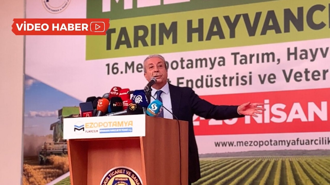 Diyarbakırlı eski bakan: Bu kutlu süreç başarıya ulaşmalı