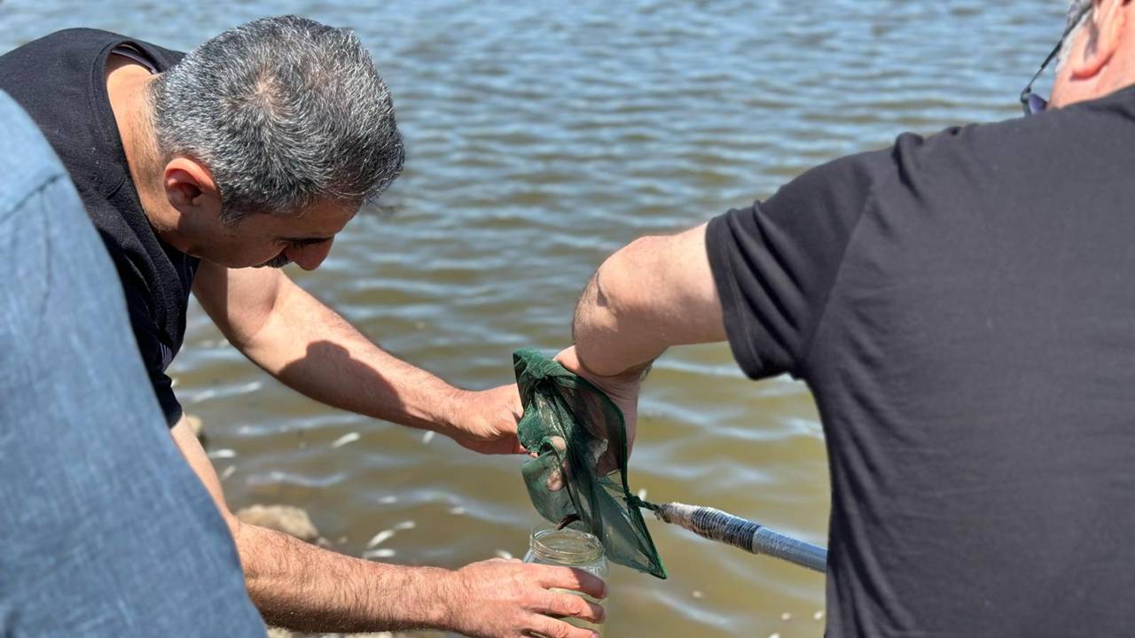 Diyarbakır’da toplu balık ölümleri incelemede: Numuneler alındı