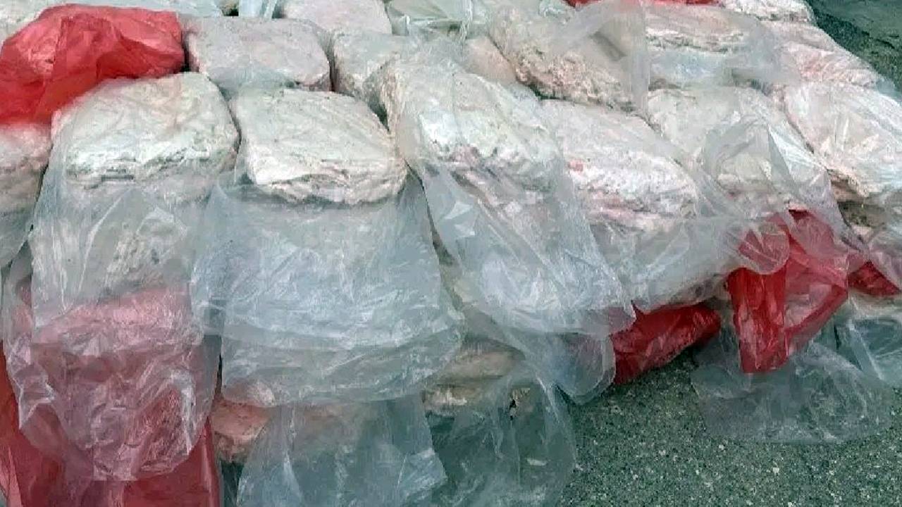 Şırnak’ta 2,5 ton kaçak et ele geçirildi