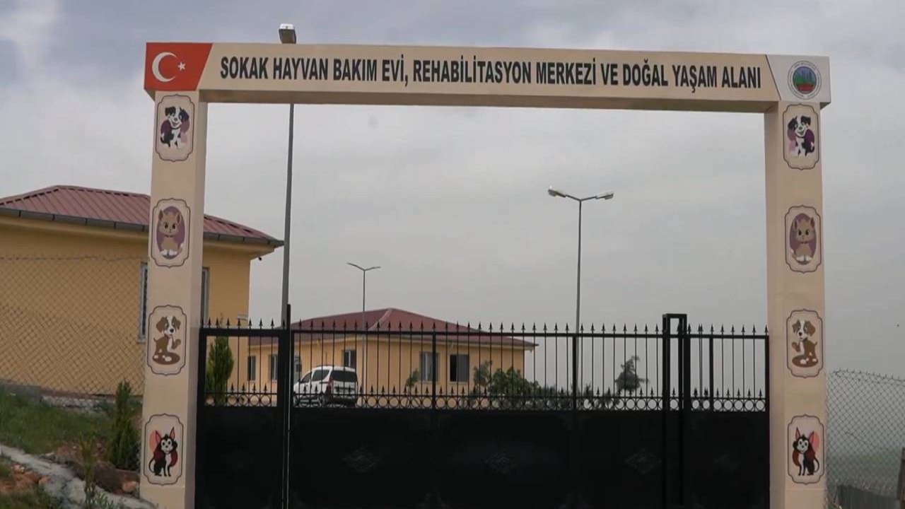 Siirt'teki hayvan barınağı genişletildi