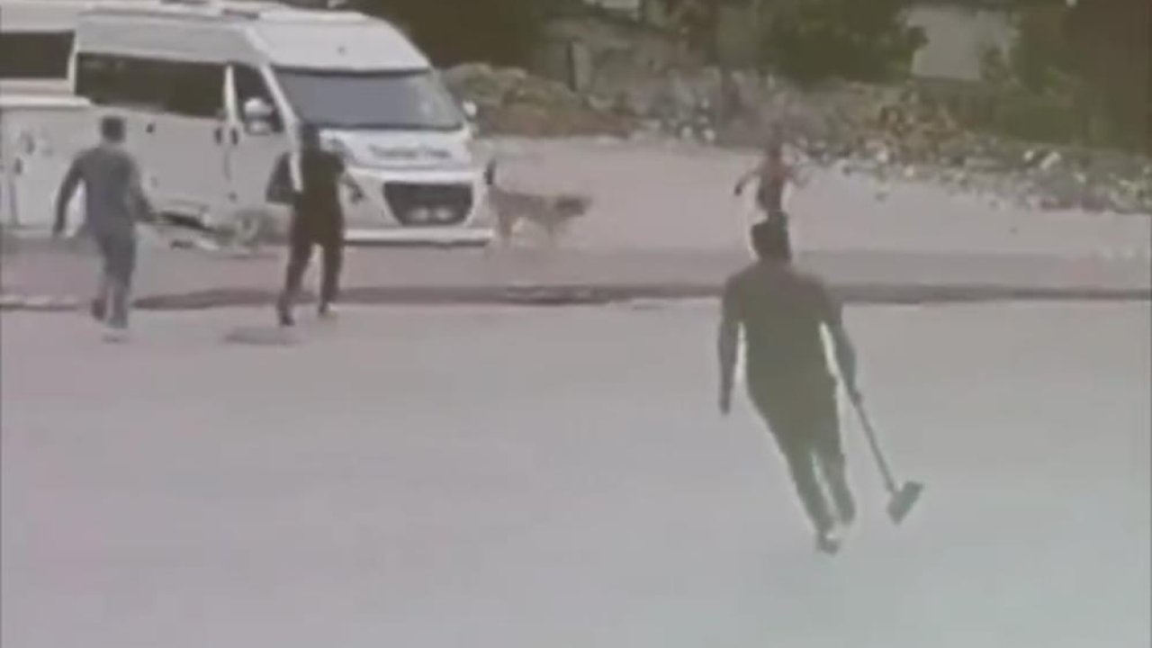 Sahipsiz köpekler saldırdı, esnaf kurtardı