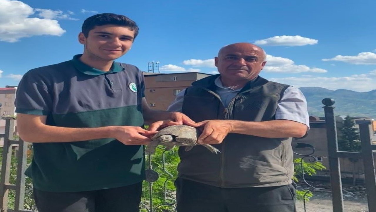 Şırnak'ta yaralı yaban hayvanları koruma altına alındı