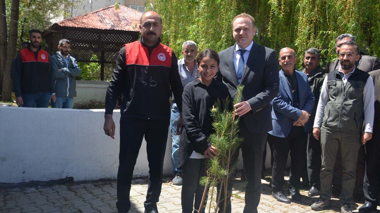 Muş’ta 5 bin çam fidanı dağıtıldı
