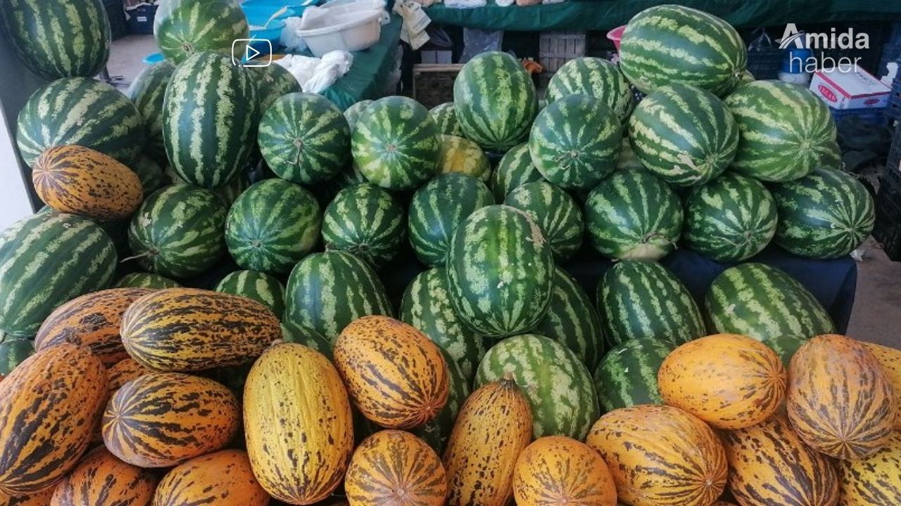 Adana karpuzu Diyarbakır’da sezonu açtı: Fiyatı şok etti!
