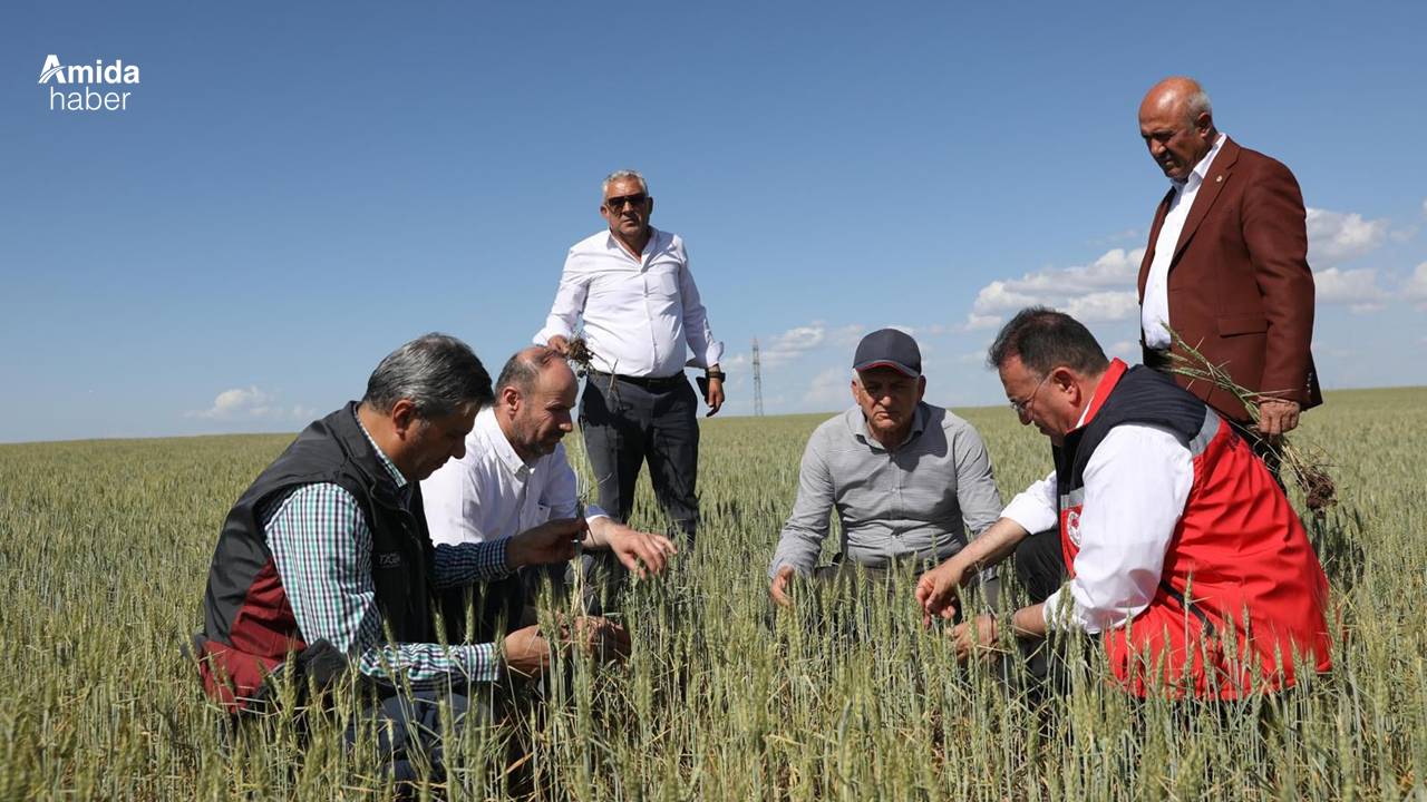 Diyarbakır’da kuraklık alarmı: Acil destek çağrısı yapıldı