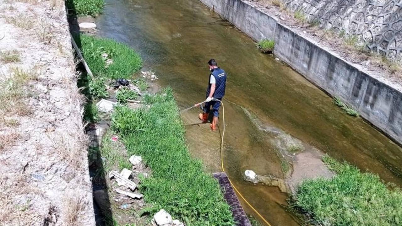 Batman’da sivrisinekler arttı: Belediye’den açıklama