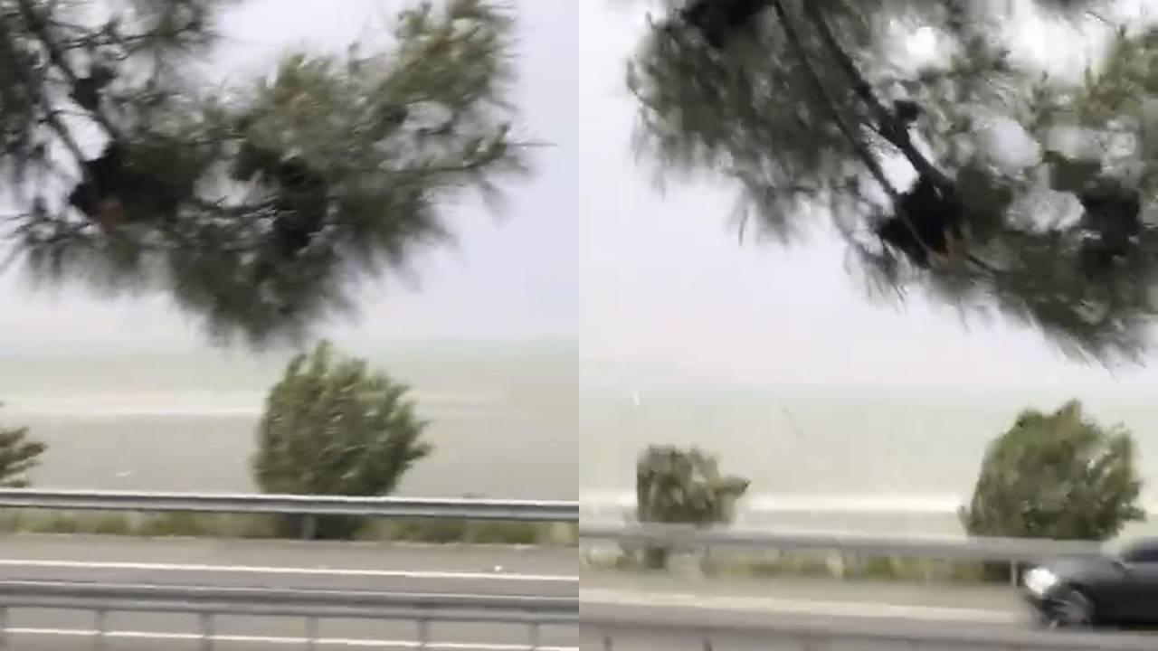 Komşuda fırtına zor anlar yaşattı