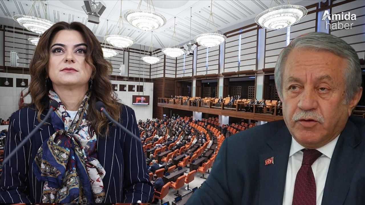 Meclis'te Kürtçe gerilimi: MHP'li başkan müdahale etti
