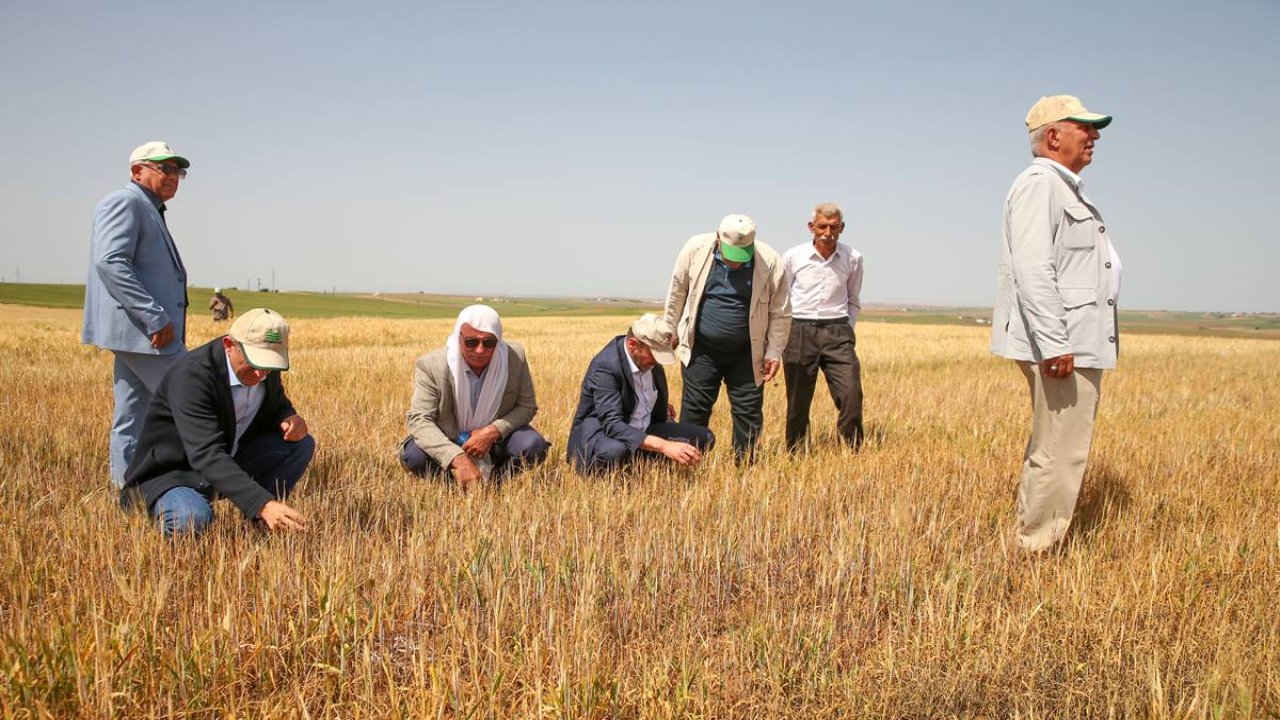 Bayraktar: Diyarbakır’da 7,5 aydır yağış yok, tarımsal üretim tehlikede