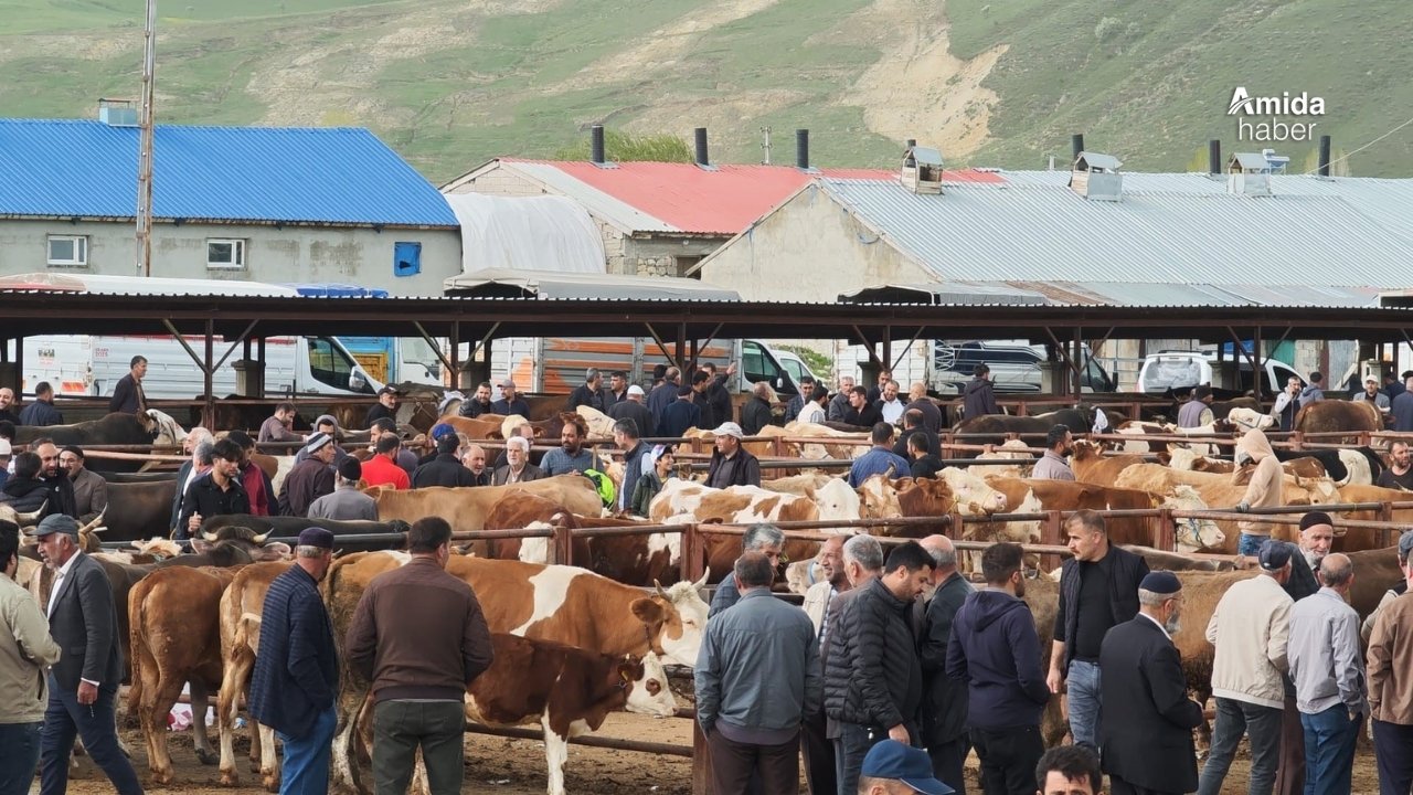 Erzurum’da kurbanlıklar görücüye çıktı