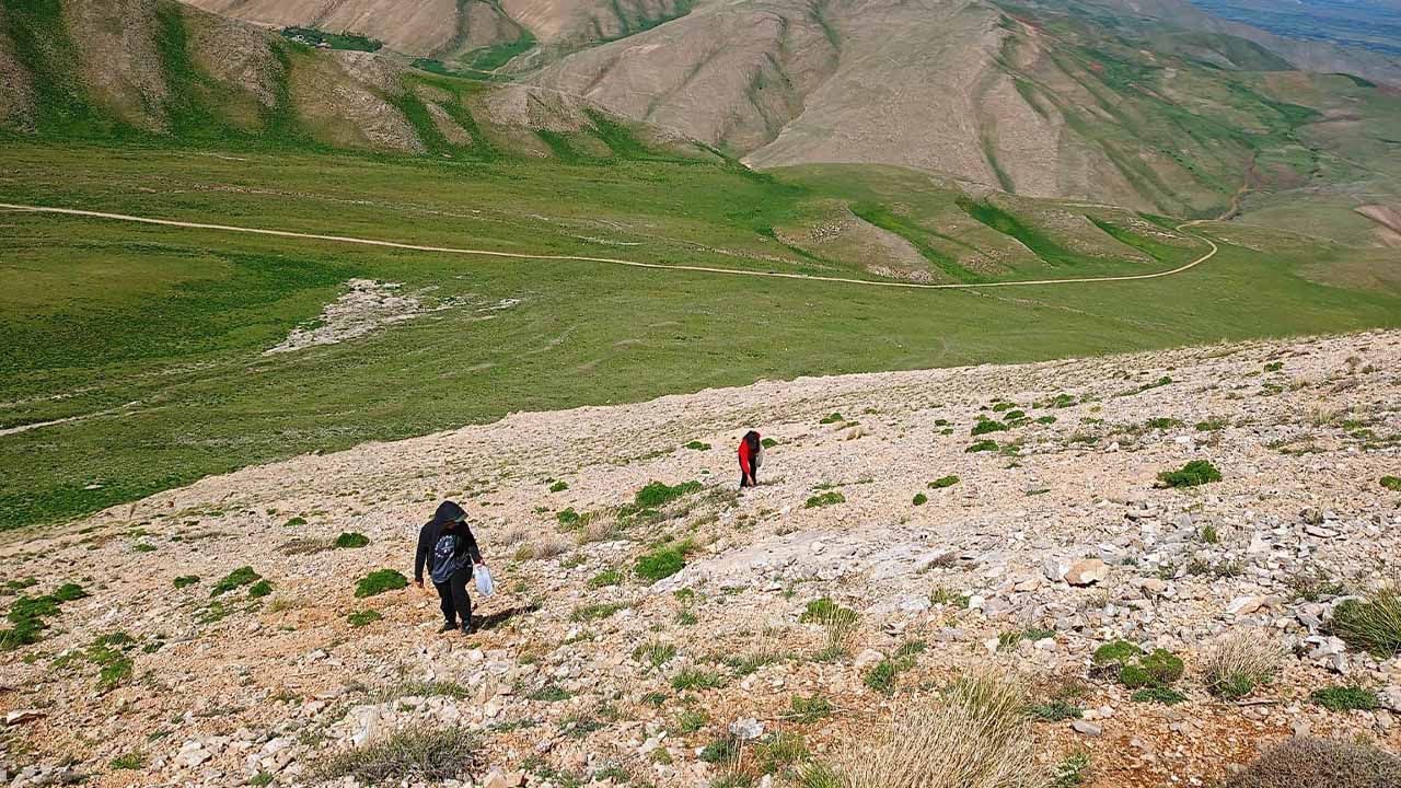 Van’da uzmanlar heliz otu ve mantar zehirlenmesi için uyardı