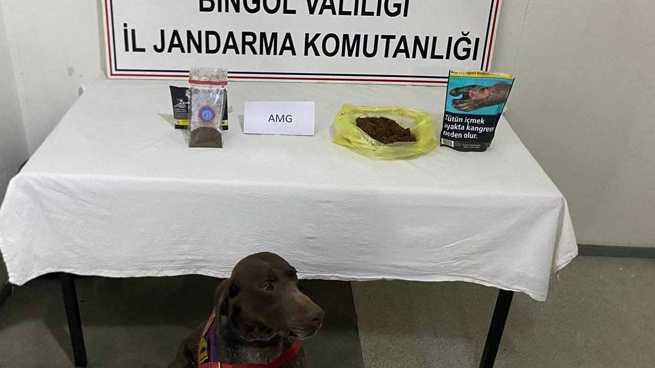 Bingöl’de yolcunun üzerinden uyuşturucu çıktı