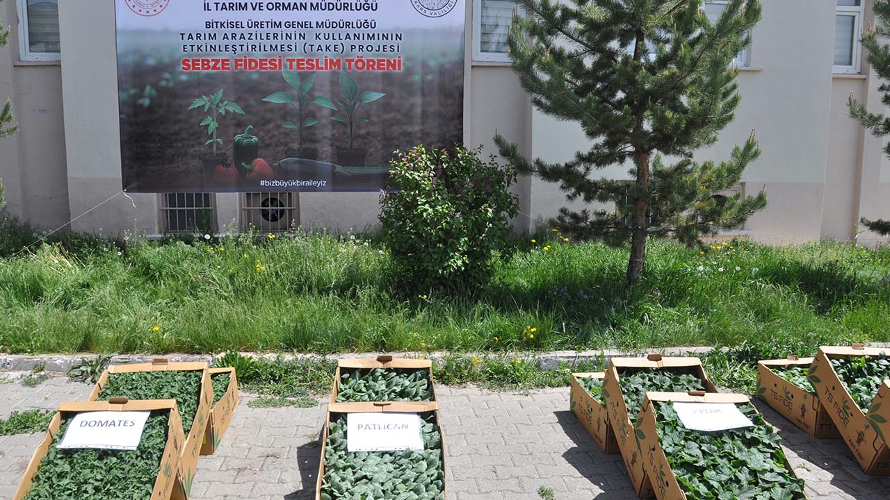 Kars'ta üreticilere binlerce sebze fidesi dağıtıldı
