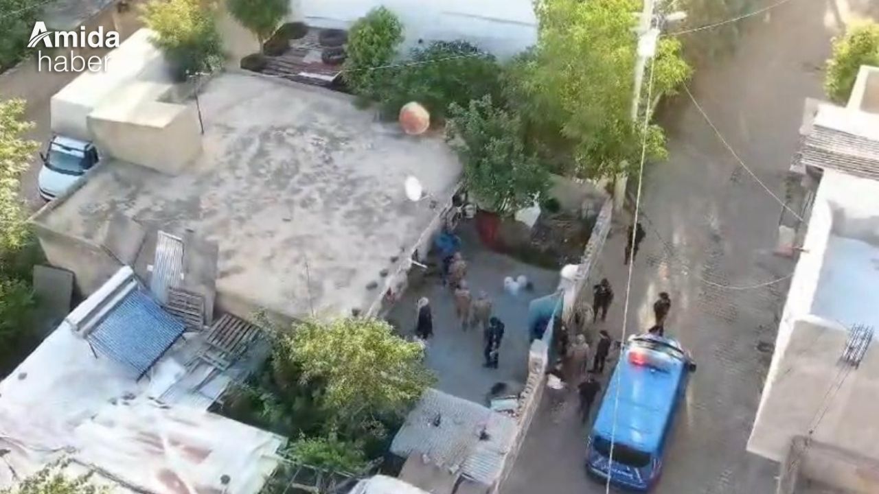 Diyarbakır’da ‘Daltonlar’ çetesi çökertildi