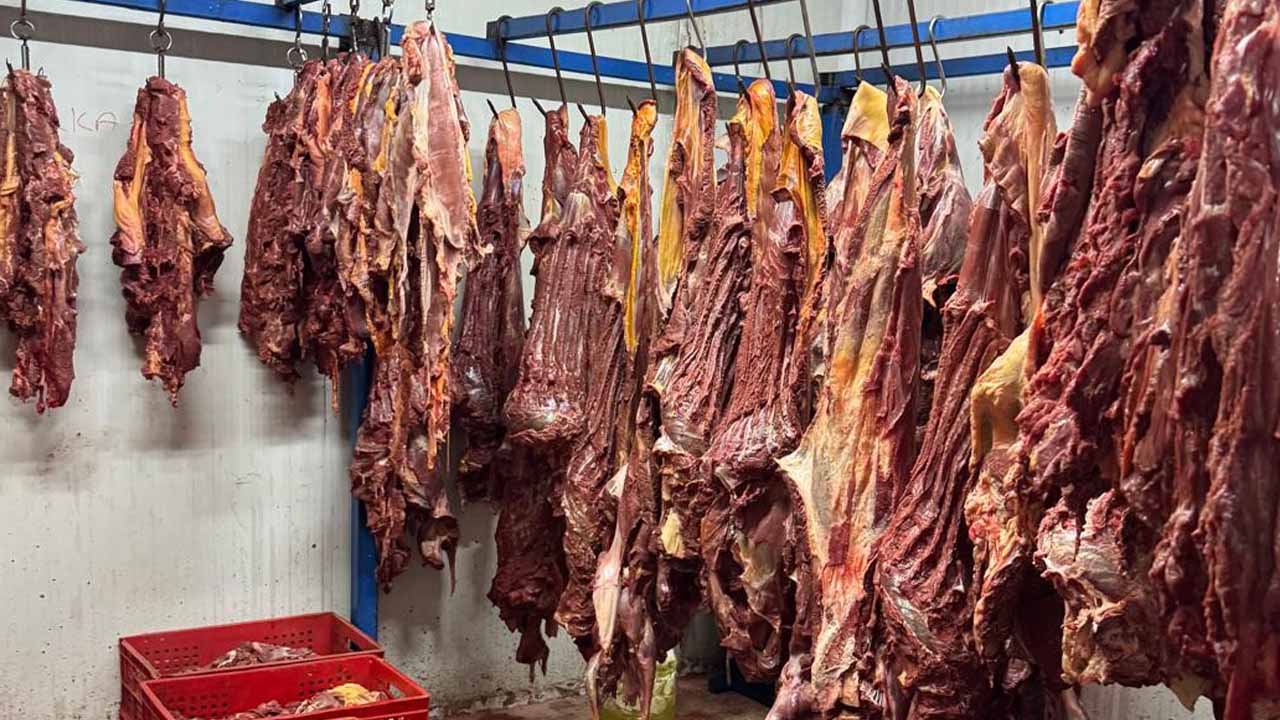 Adana'da tonlarca bozulmuş at eti ele geçirildi