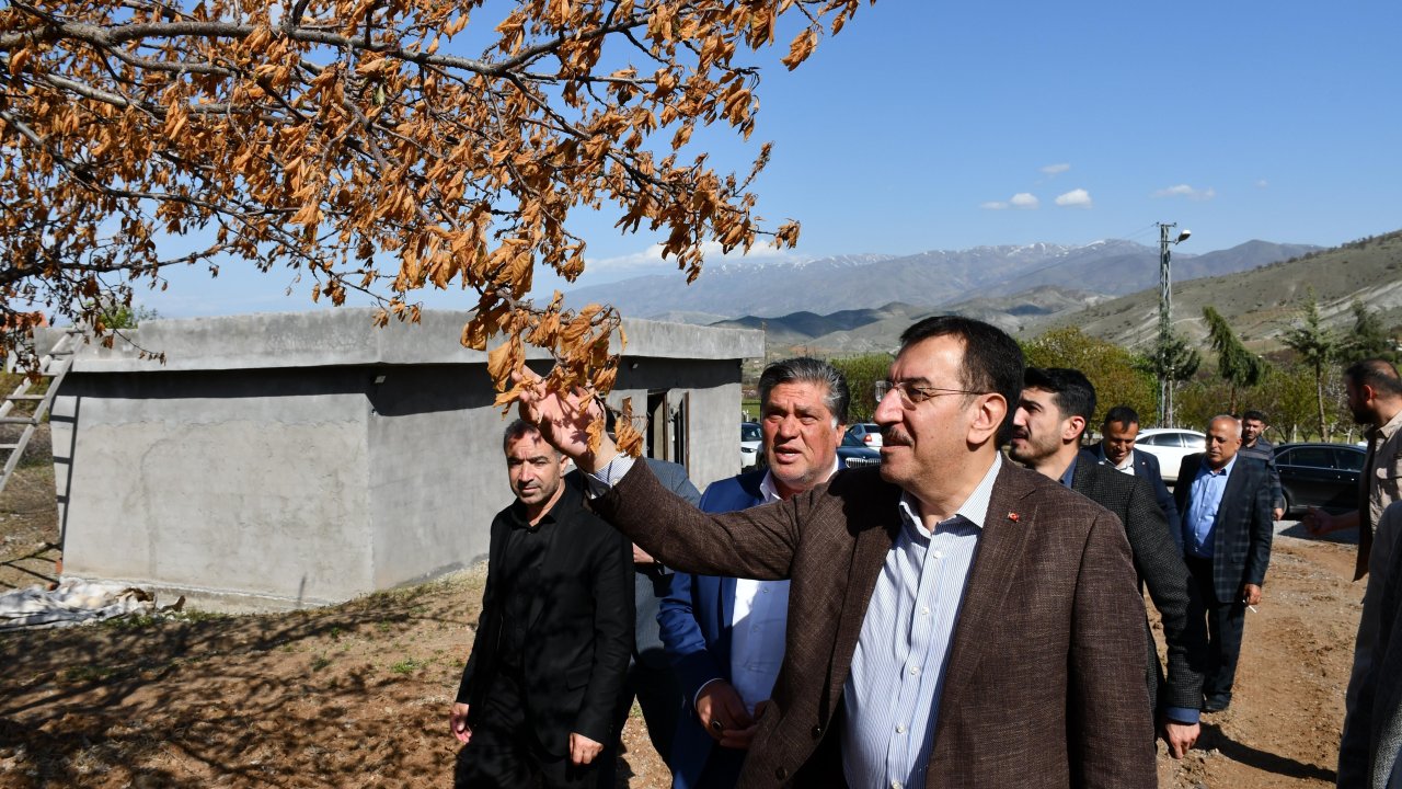 Malatya'da Zirai don destek ödemeleri başlıyor