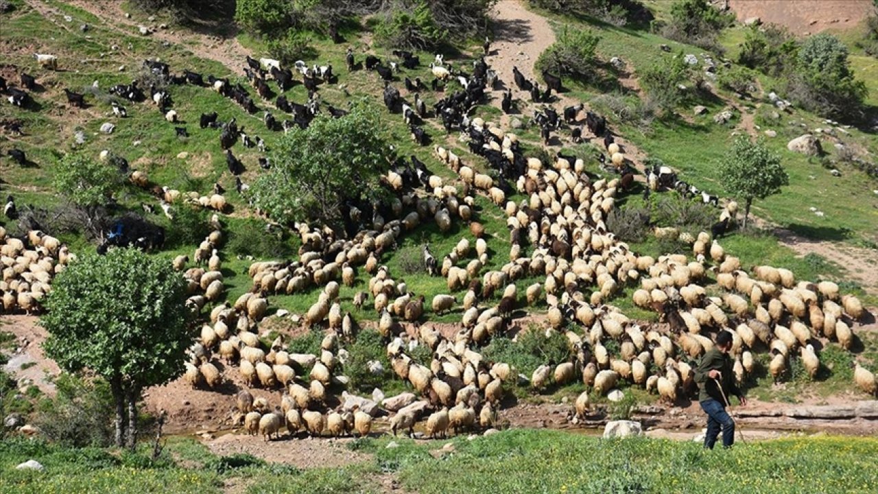 Şırnak'ta göçerler yola koyuldu