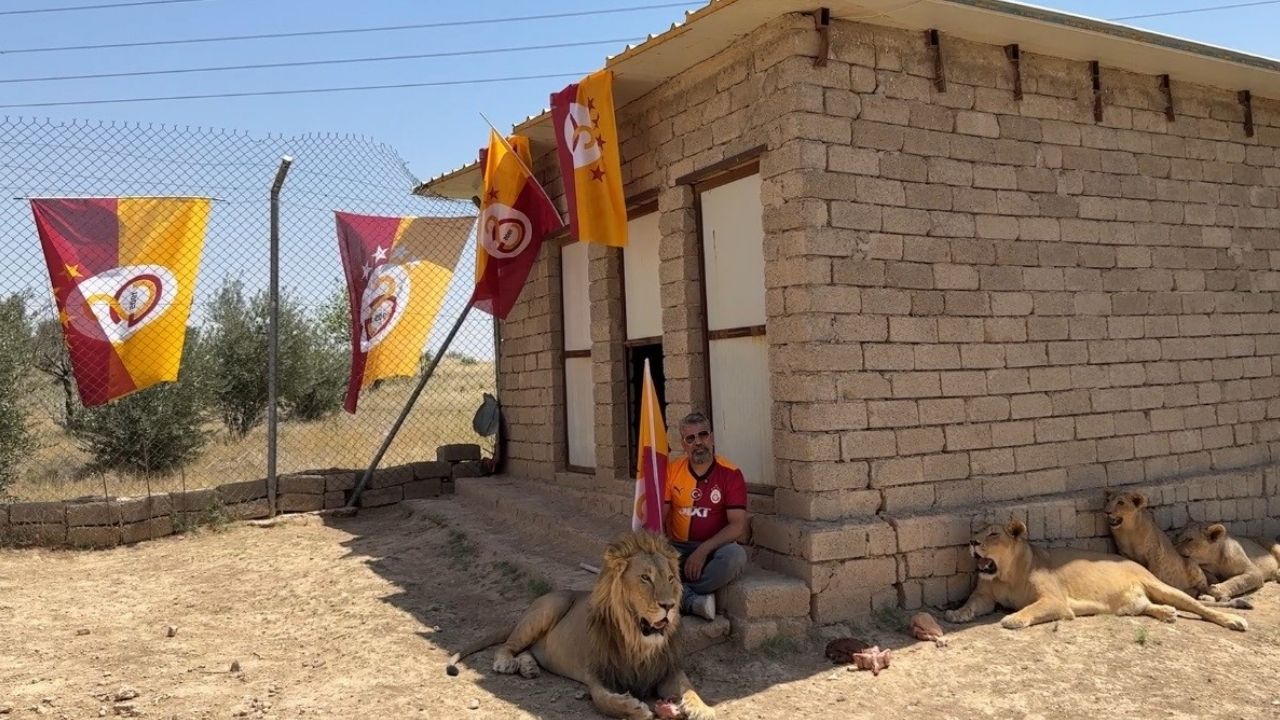 Diyarbakırlı iş insanı, aslanlarına futbolcu isimleri verdi