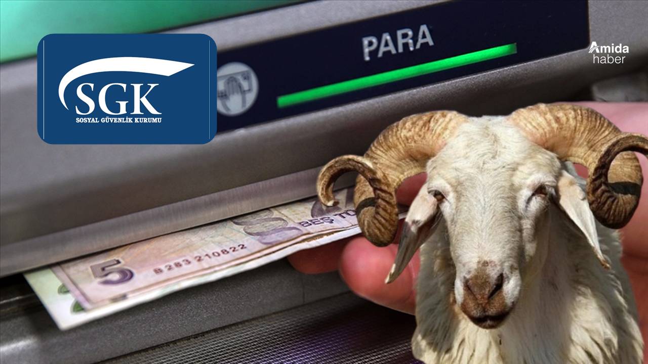 Diyarbakır’da ikramiyeler ne zaman yatacak? Tarihi ve miktarı belli oldu