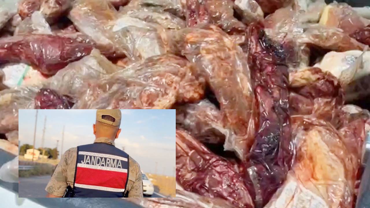 1500 kilo kaçak ve bozulmuş et ele geçirildi: 45 gözaltı