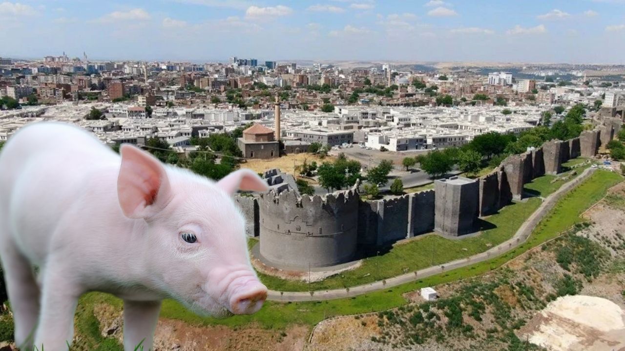 Diyarbakır’da da domuz eti satışı yapıldı mı? Bakanlık devrede