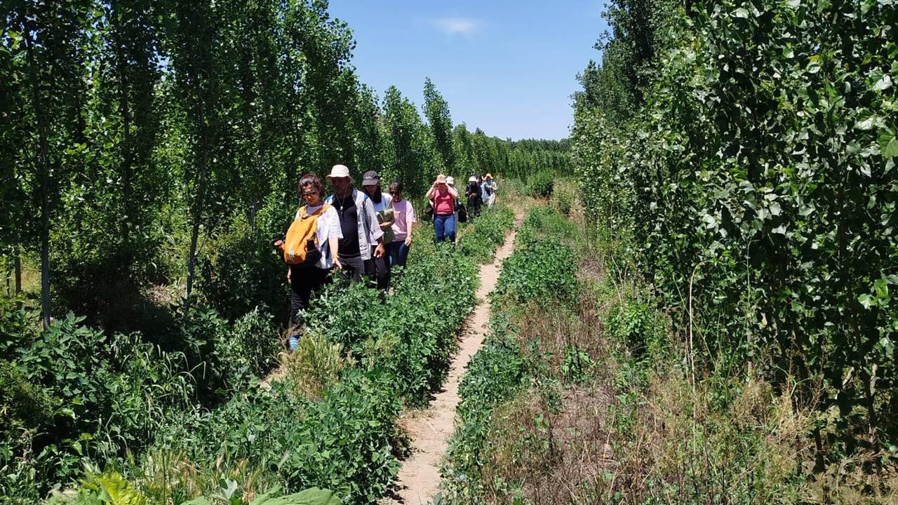 Diyarbakır'daki öğretmenlere Hevsel'de Finlandiya'dan kurs