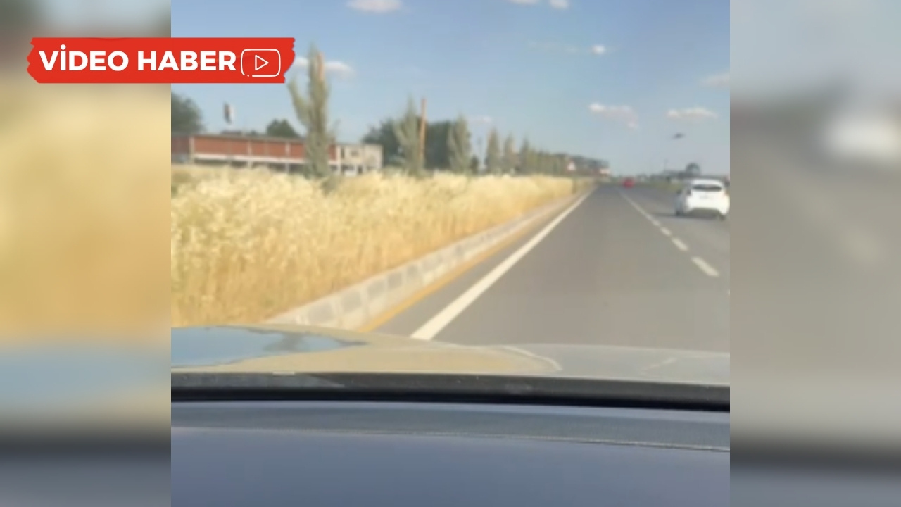 Diyarbakır’daki belediyeye duyurulur!