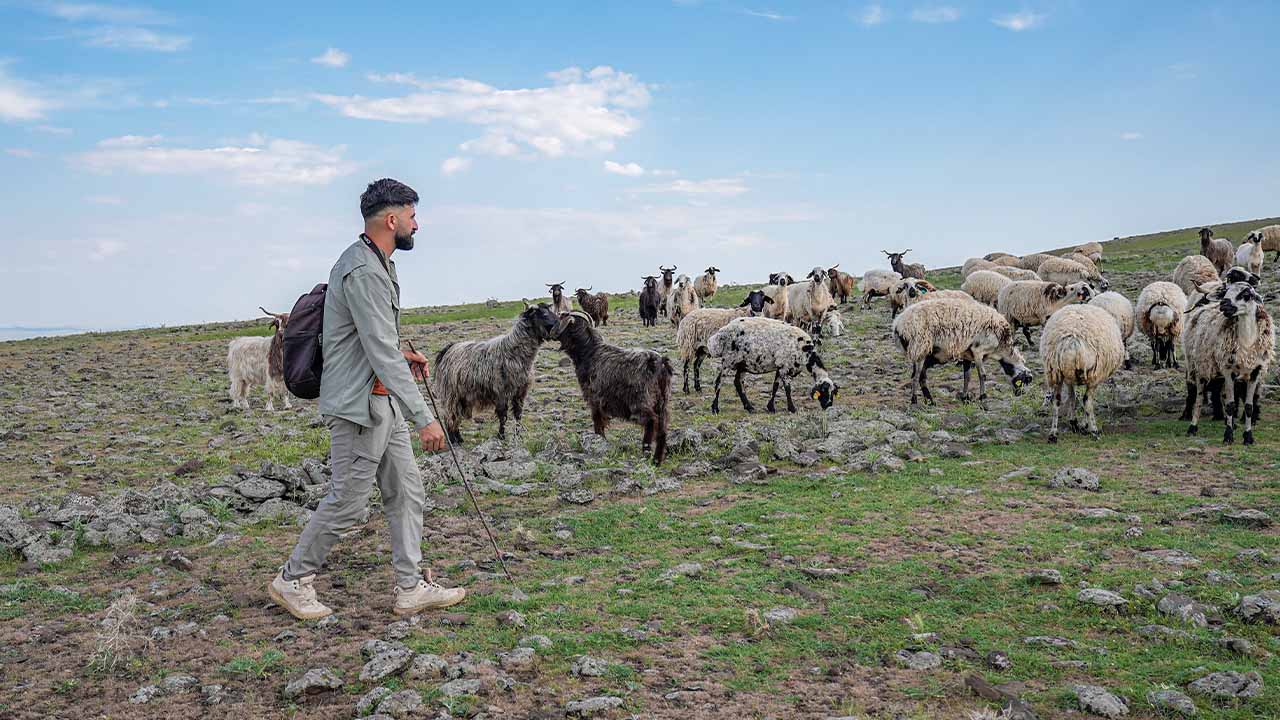 Diyarbakır’daki çoban yaşadığı yerin fotoğrafçısı oldu