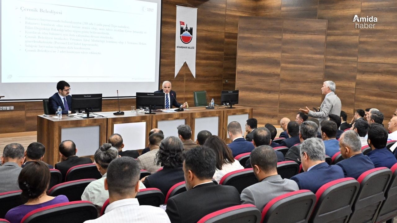 Diyarbakır valisi sahipsiz hayvanlar için düğmeye bastı
