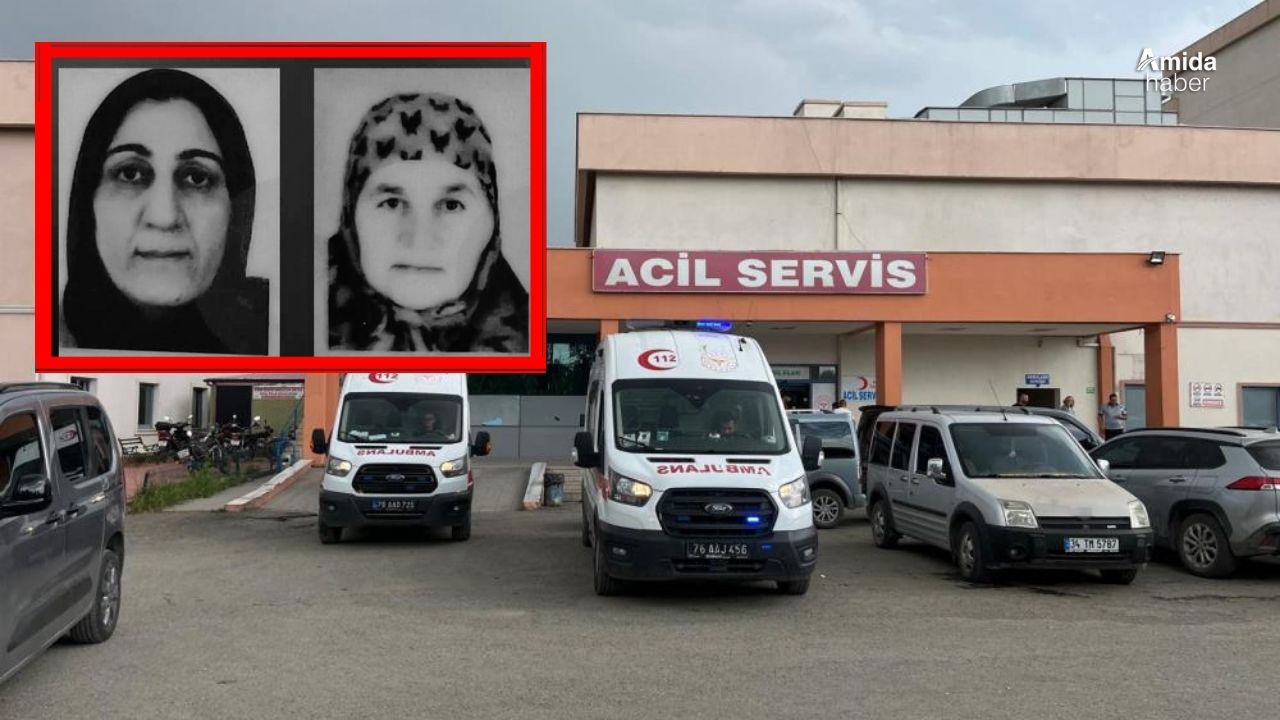 Iğdır'da yaşlı adam iki yengesini öldürdü