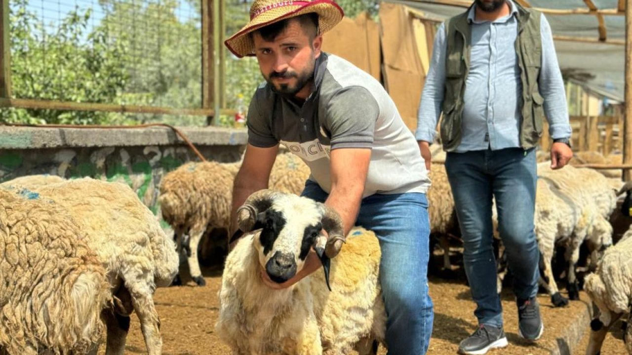 Diyarbakır’da kurban kesim yerleri belli oldu