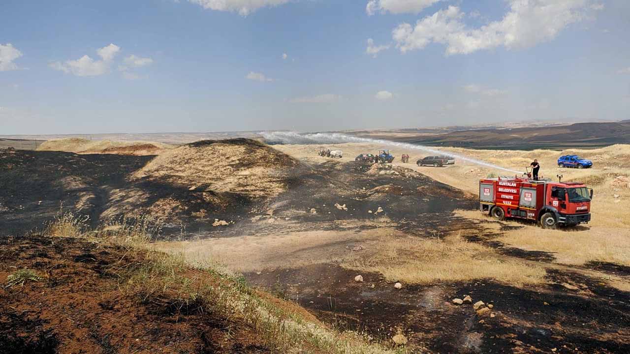 Siirt'te yangın: Ekili alanlar zarar gördü