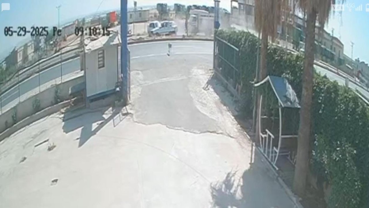 Şanlıurfa'da sokak köpeği zincirleme kazaya neden oldu