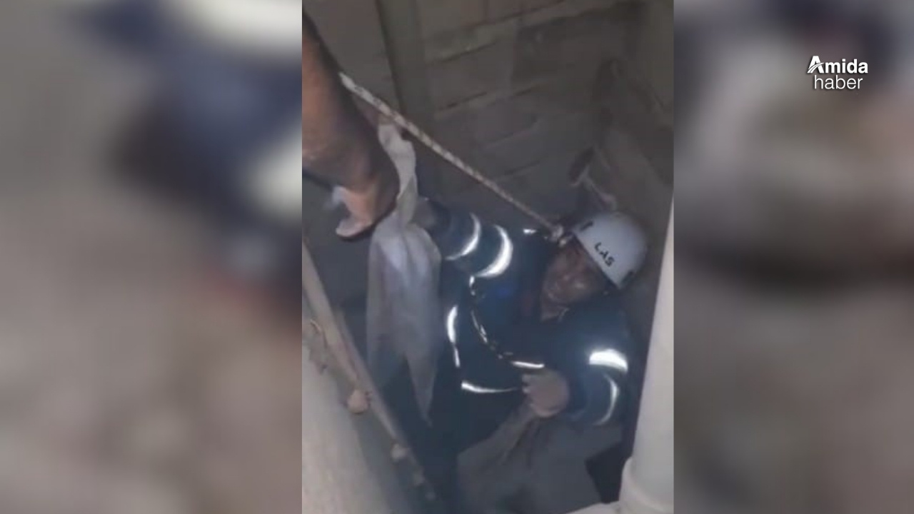 Şanlıurfa´da havalandırma boşluğuna düşen yavru kediler kurtarıldı