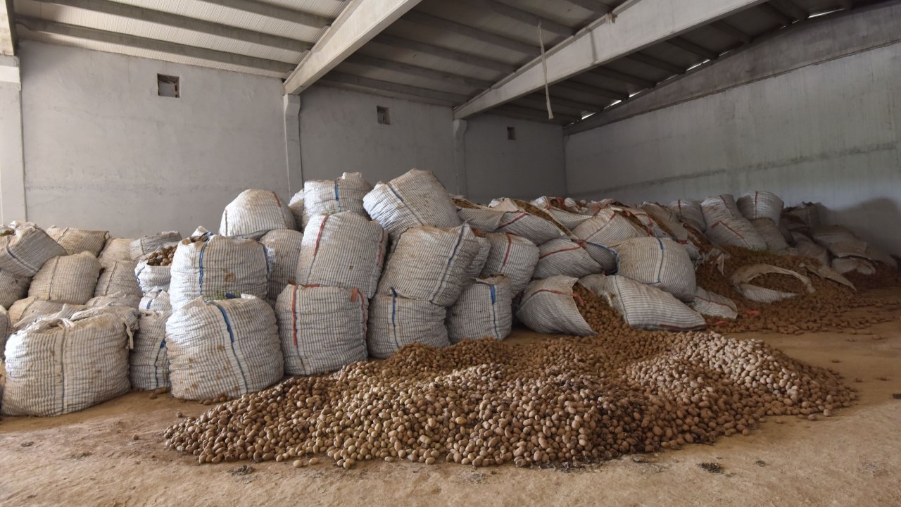 Ahlat'ta binlerce ton patates alıcı bekliyor