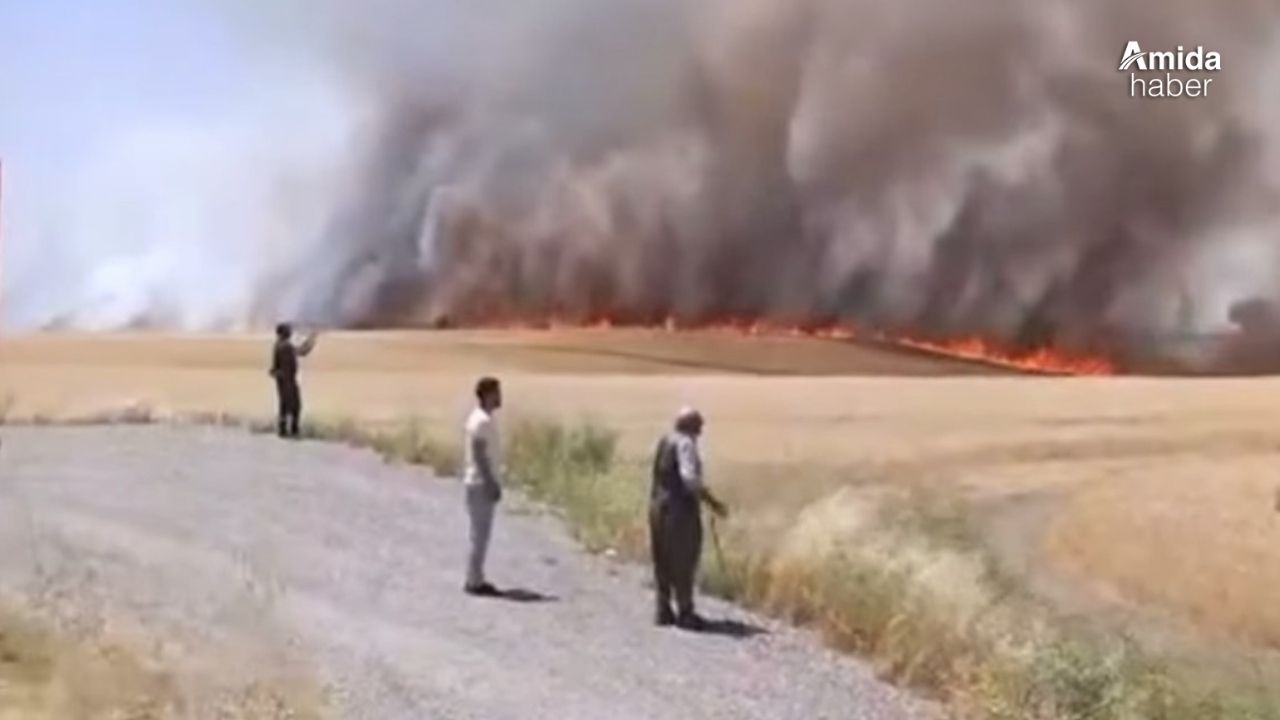 Diyarbakır’da hasat bekleyen tarlalar alevlere teslim oldu