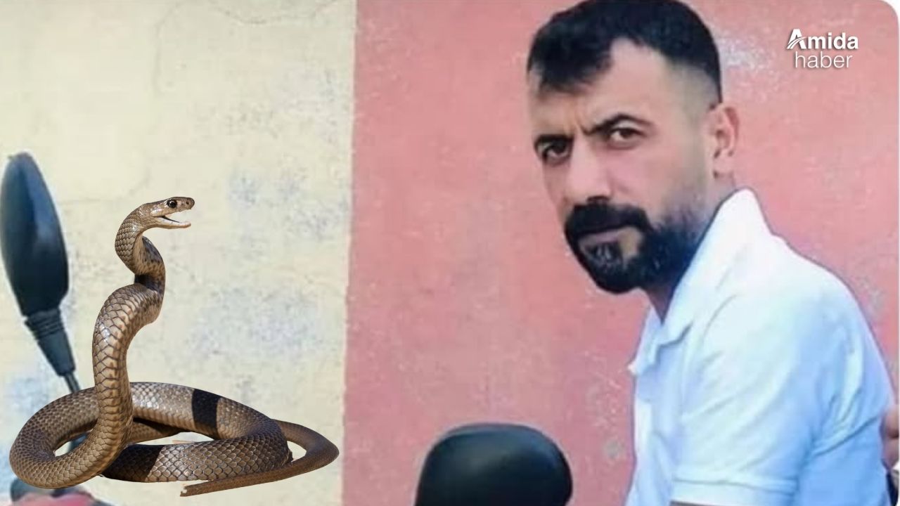 Diyarbakır’da 32 yaşındaki genci yılan ısırdı: Kurtarılamadı