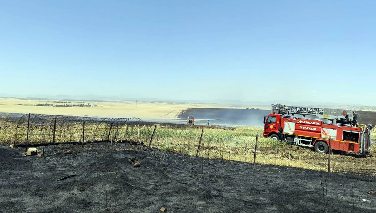 Diyarbakır’daki tarla yangınında büyük zarar: Buğday ve arpa kül oldu