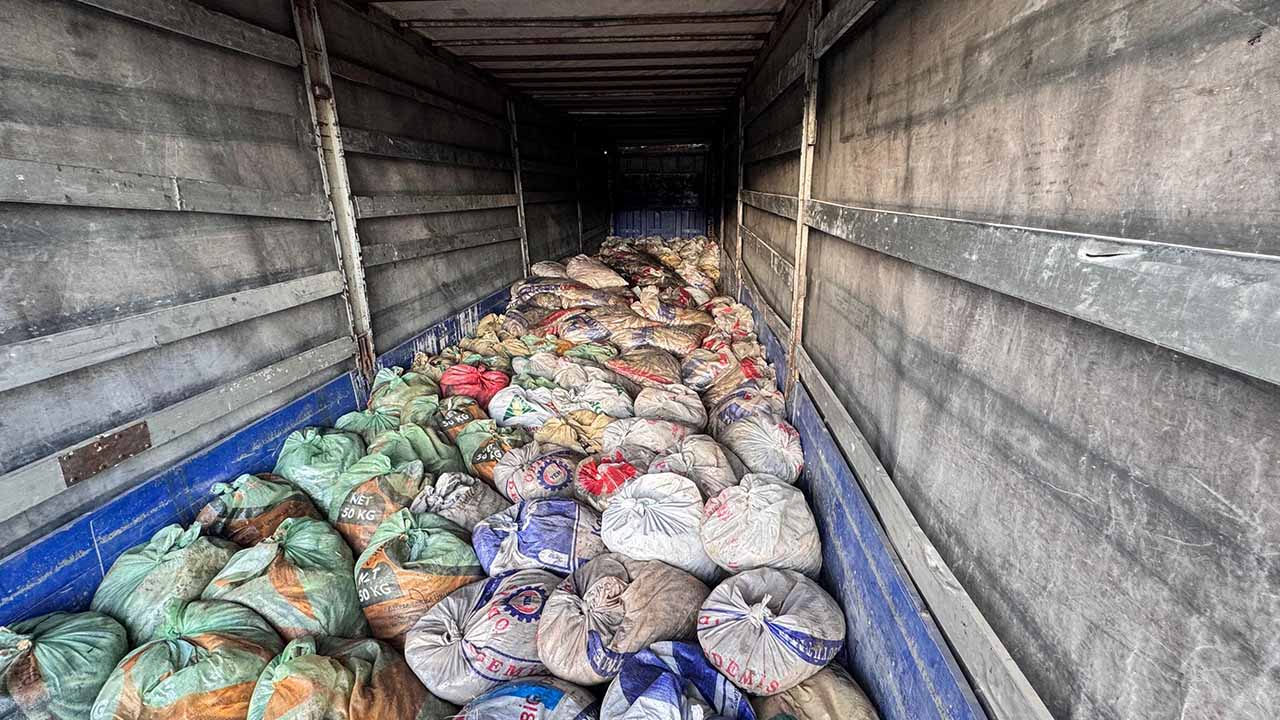 Van'da 22 ton 475 kilo kaçak avlanmış inci kefali geçirildi
