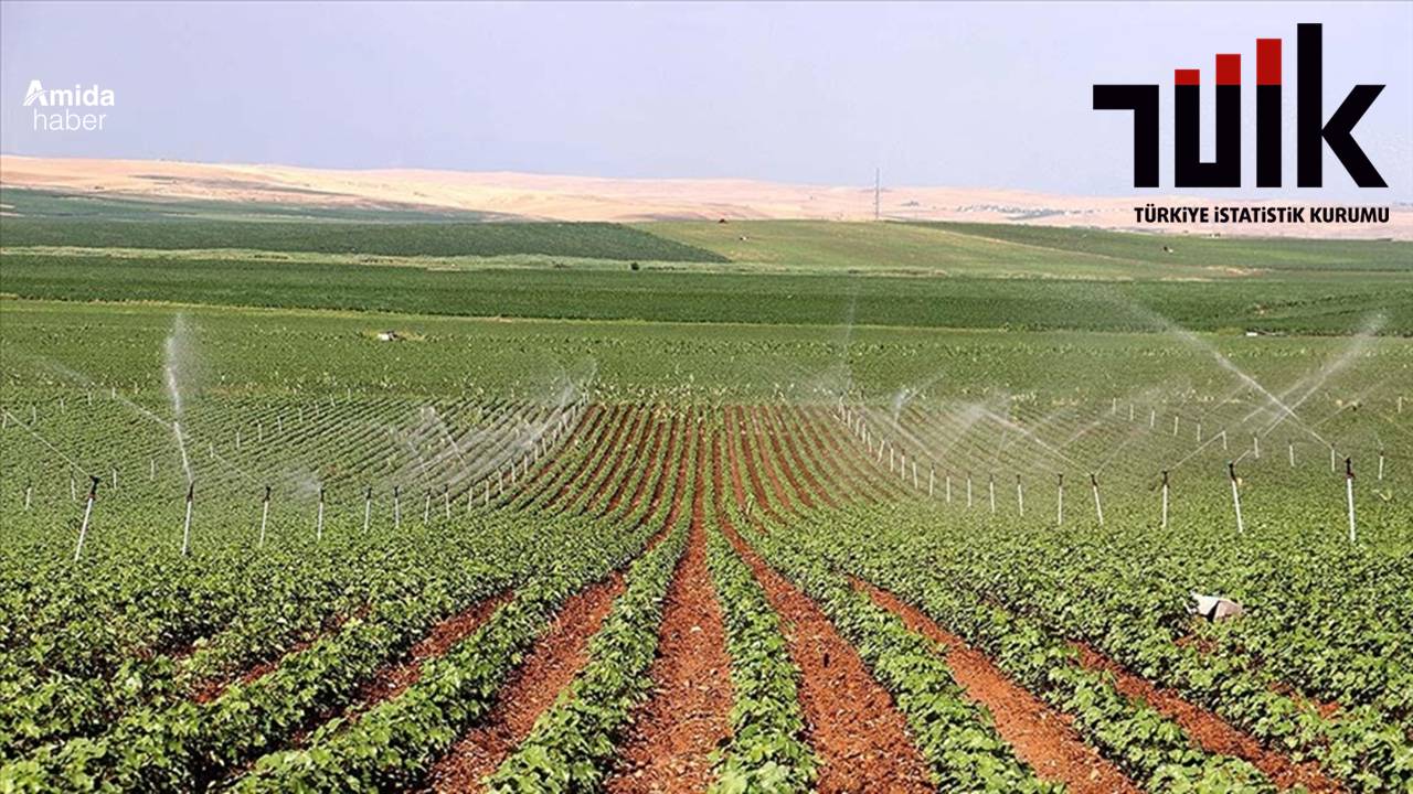 Diyarbakır ve Şanlıurfa tarım sayımı için TÜİK'le protokol imzaladı