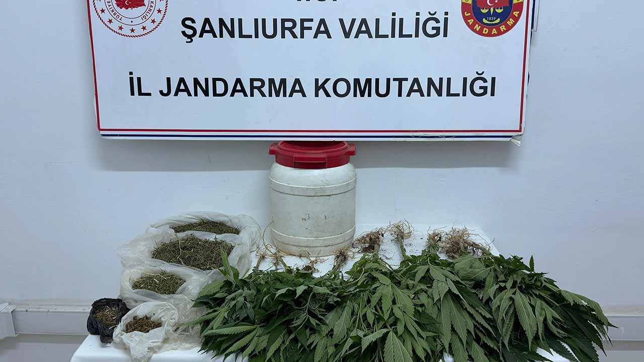Şanlıurfa’da uyuşturucu ele geçirildi