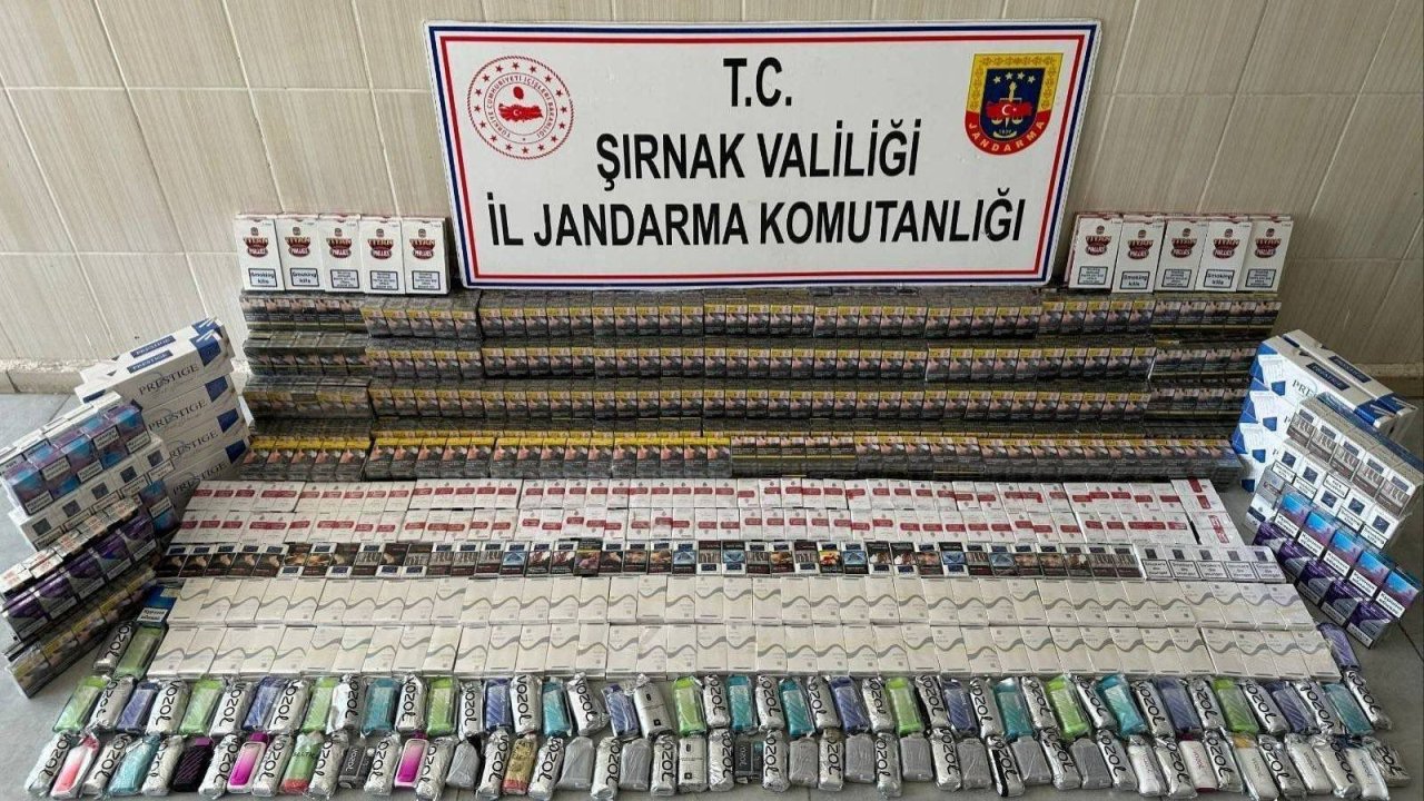 Şırnak'ta  asayiş operasyonlarında 20 kişi hakkında işlem yapıldı