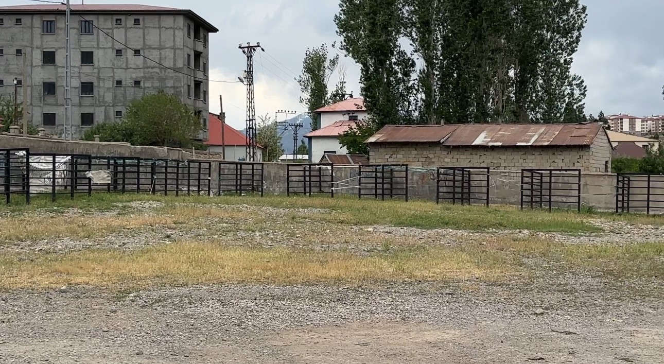 Yüksekova'da şap hastalığı alarmı