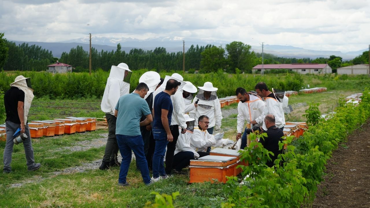 Iğdır'da arı kovanı dağıtım töreni düzenlendi